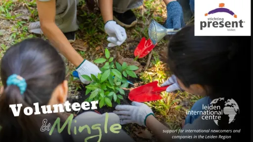 Volunteer & Mingle Leiden