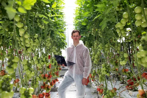 Technology for tomato growth at the World Horti Center in South Holland