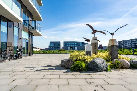 Campus at Sea