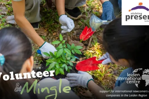 Volunteer & Mingle Leiden