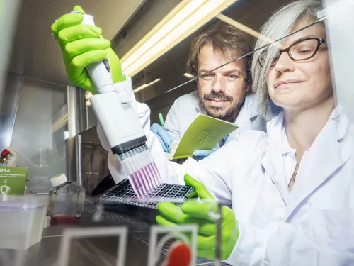 Researchers in a lab