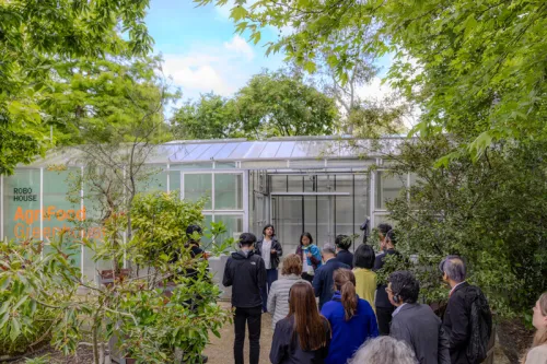 Dutch Greenhouse Delta_Japanese delegation at RoboHouse