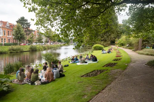 Students in the grass in Leiden