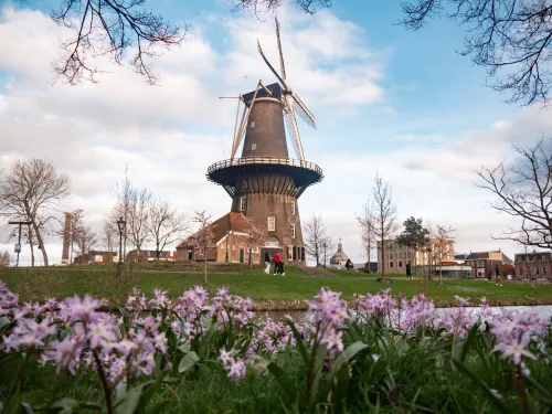 Windmill De Valk in Leiden
