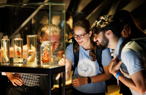 Students looking at art in museum Boerhaave