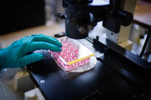 Stem cell research life sciences