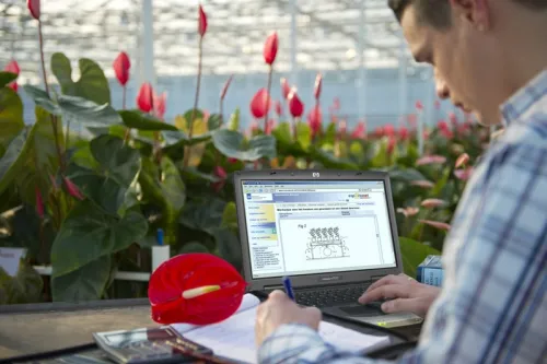 Man using digital innovation to monitor flower growth in greenhouse